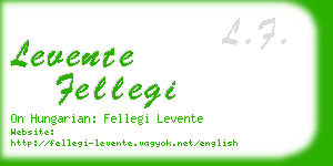 levente fellegi business card